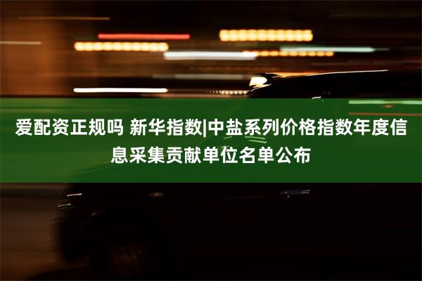 爱配资正规吗 新华指数|中盐系列价格指数年度信息采集贡献单位名单公布