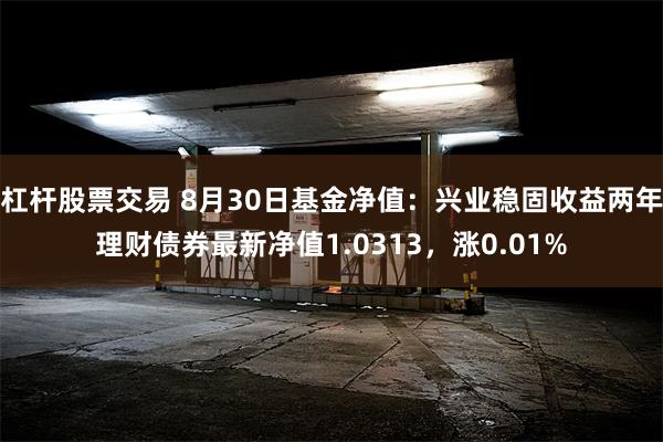 杠杆股票交易 8月30日基金净值：兴业稳固收益两年理财债券最新净值1.0313，涨0.01%