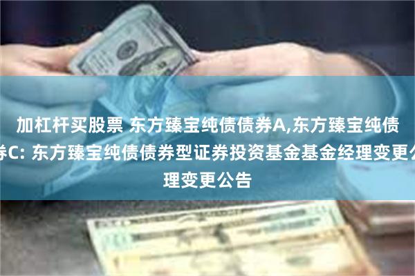 加杠杆买股票 东方臻宝纯债债券A,东方臻宝纯债债券C: 东方臻宝纯债债券型证券投资基金基金经理变更公告